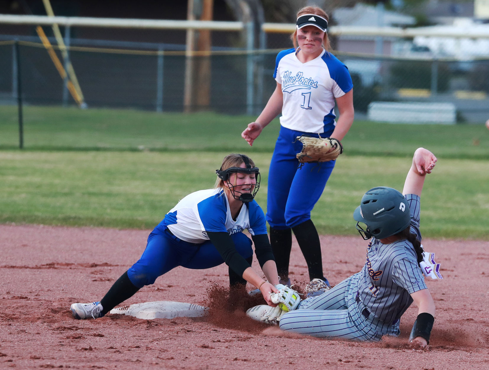 Havre at state softball